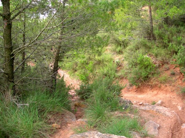 Sentier de El Portel