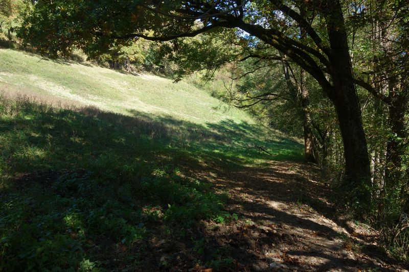 de la gare de Lacaze &agrave; l'arr&ecirc;t de la Combali&eacute;