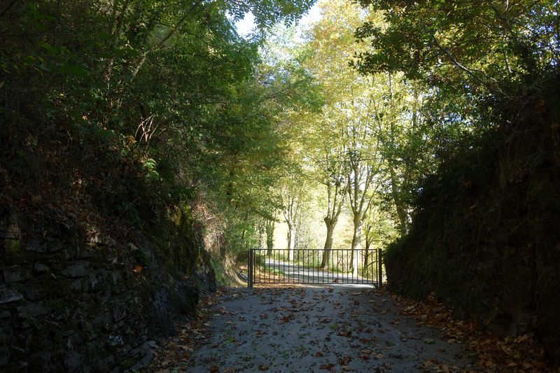 tranch&eacute;e en sortie du Tunnel du Pujol