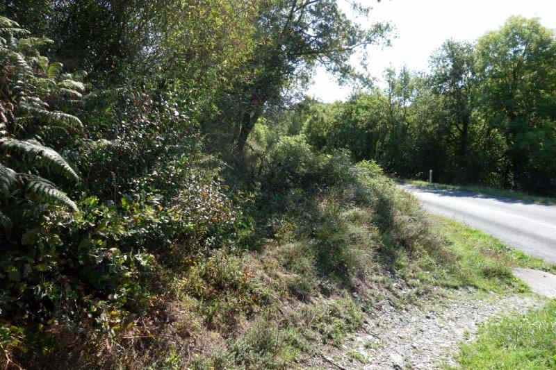 Agrandir l'image De la gare de Lacaze à la gare de Pierre-Ségade