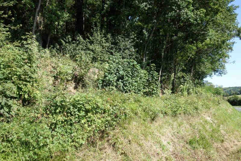 Agrandir l'image De la gare de Lacaze à la gare de Pierre-Ségade