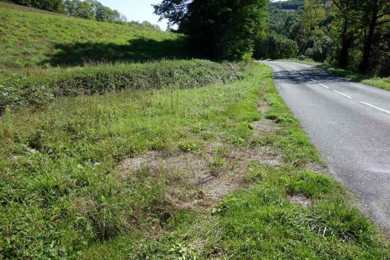 Agrandir l'image De la gare de Lacaze à la gare de Pierre-Ségade