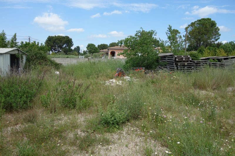 Agrandir l'image De la gare de Gallargues à la gare d'Aubais