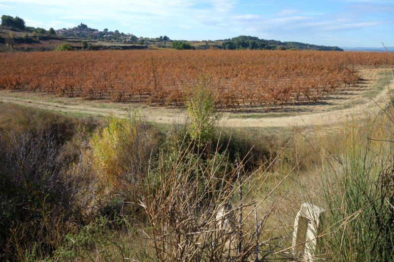 Agrandir l'image De la gare de Villeveyrac à la gare de Saint-Pargoire