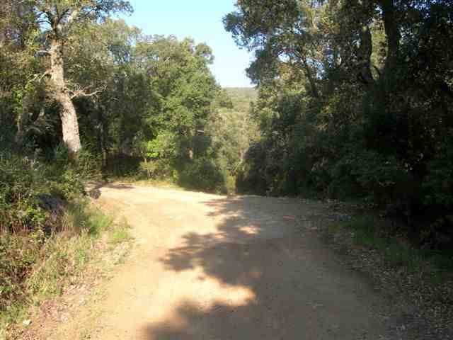 Agrandir l'image Embranchement du chemin du Collet del Vent