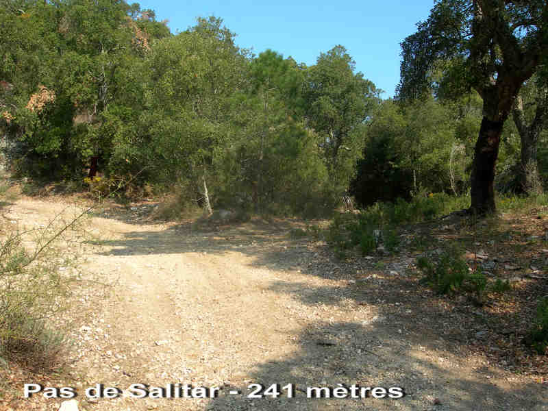 Agrandir l'image