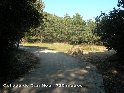 Agrandir l'image Collada de Can Nou - ES-GI-0720