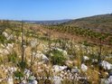 Alto de la Hoya de la Virgen - ES-V-0336