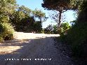 Coll de Gironella - ES-B-0390j