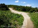 Coll de la Jeia d'en Pujol - ES-B-0390k