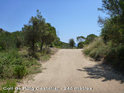 Coll de Puig Castellar - ES-B-0246