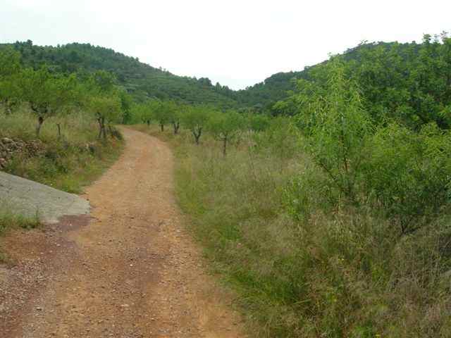 Agrandir l'image Entre Alfondeguilla et le Collado Garrut