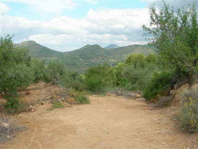 Agrandir l'image Entre le Collado Garrut et le Collado de la Vella