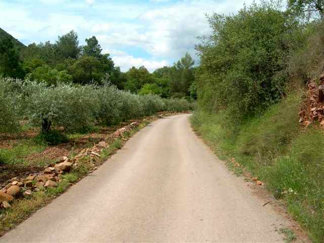 Agrandir l'image Entre le Collado Garrut et le Collado de la Vella