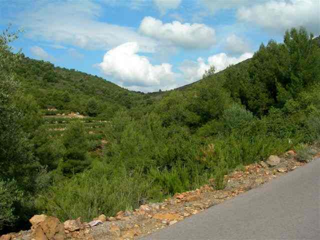 Agrandir l'image Entre le Collado de la Vella et le Port de Marianet