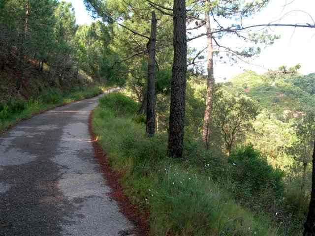 Agrandir l'image Montée au Port d'Eslida ou de Chovar