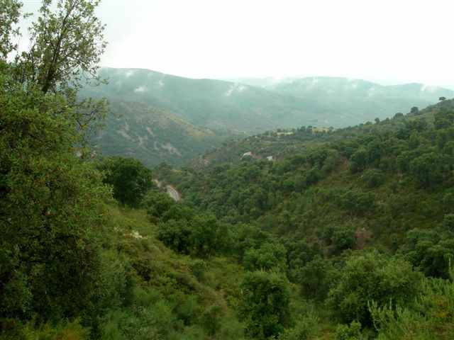 Agrandir l'image En direction du Collado dels Morts