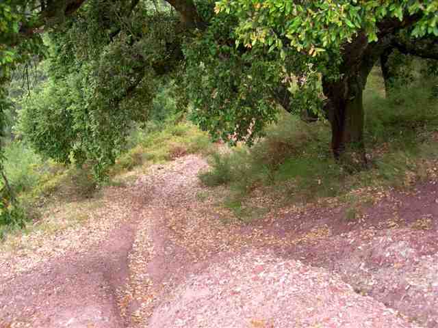 Agrandir l'image En direction du Collado dels Morts