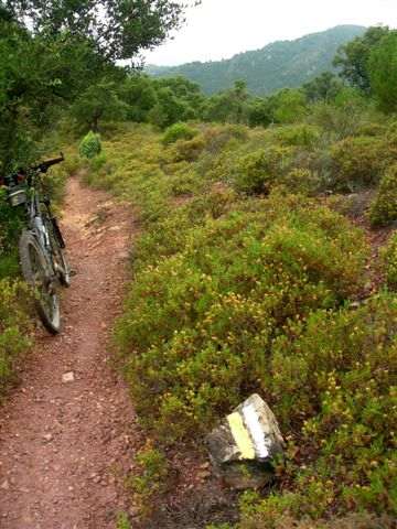 En direction du Collado dels Morts