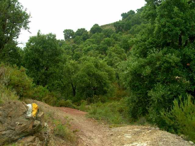 Agrandir l'image En direction du Collado dels Morts