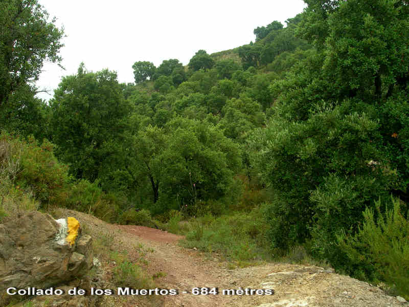 Agrandir l'image Collado dels Morts - ES-CS- 683 mètres