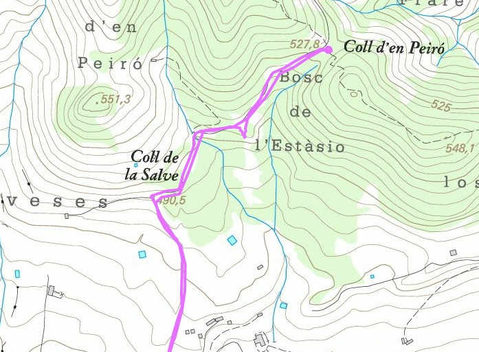 Agrandir l'image En direction du Coll d'en Peiró
