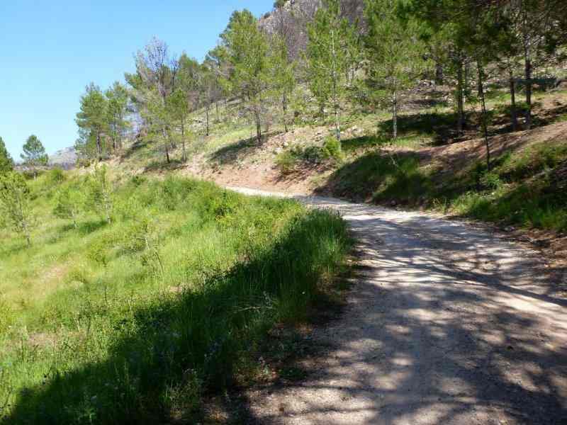 Agrandir l'image En direction du Collado de Tigüela