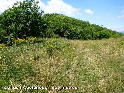 Col de l'Albande - FR-34-0636a