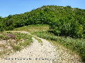 Col de l'Albande - FR-34-0636a