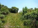 Col des Banquets - FR-34-0581