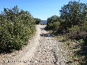 Col de Courbou - FR-34-0425