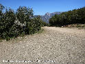 Col de Courbou - FR-34-0425