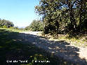 Col de Toulé - FR-34-0475c