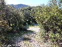 Col de Toulé - FR-34-0475c