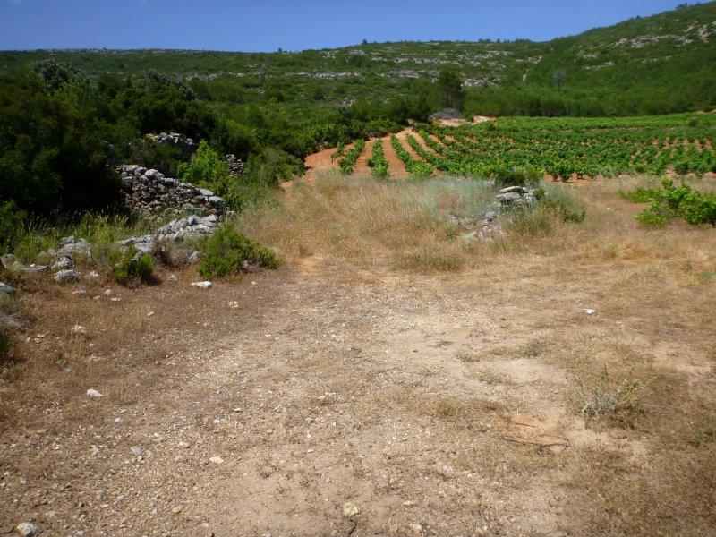 En direction du Collado Berna