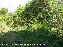 Agrandir l'image Collet de les Farigoles - ES-GI-0945