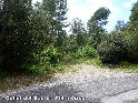 Agrandir l'image Collet del Sucre ou Coll dels Vets - ES-GI-0515d