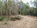 Agrandir l'image Creu de Maia ou Coll Sacreu - ES-GI-0319