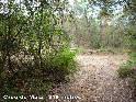 Agrandir l'image Creu de Maia ou Coll Sacreu - ES-GI-0319