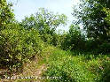 Agrandir l'image Coll de Cavaller - ES-GI-0437a