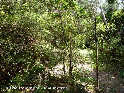 Agrandir l'image Coll de Palomers - ES-GI-0630d