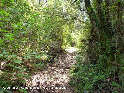 Agrandir l'image Coll de Palomers - ES-GI-0630d