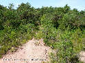 Agrandir l'image Coll de Travesses - ES-GI-0467