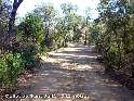 Agrandir l'image Collet de Sant Juliá - ES-GI-0343
