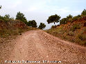 Coll de la Calderona - ES-V-271 mtres