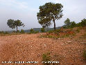 Coll de la Calderona - ES-V-271 mtres