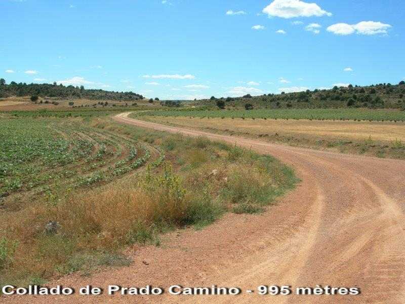 Collado de Prado Camino - ES-CU- 987 mtres