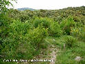 Agrandir l'image Coll de Jou - ES-GI-0491