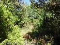 Agrandir l'image Coll de Pany - ES-GI-0832