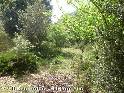 Agrandir l'image Coll Sesmoles - ES-GI-0615